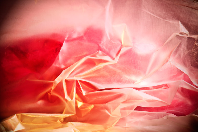 rose sang